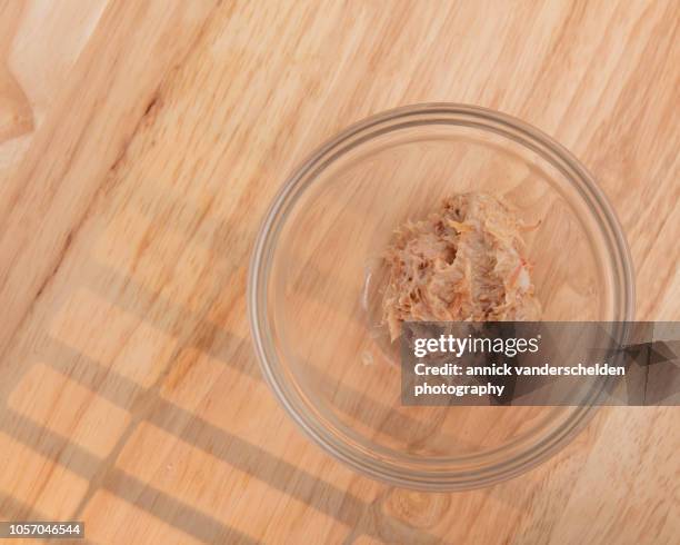 pork rillette - terrine photos et images de collection