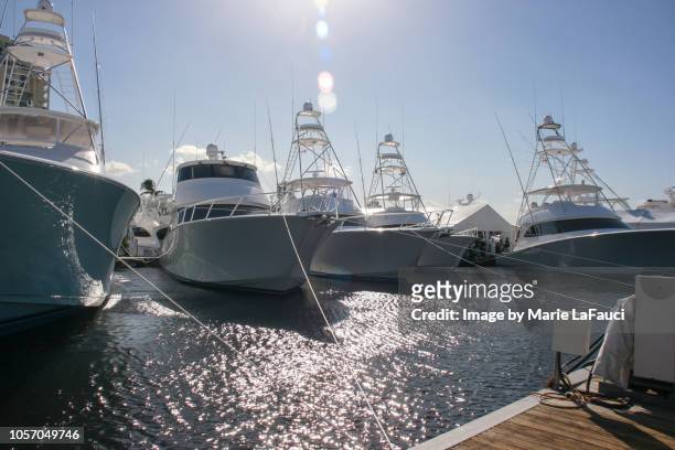 yachts docked in marina - knots stock pictures, royalty-free photos & images