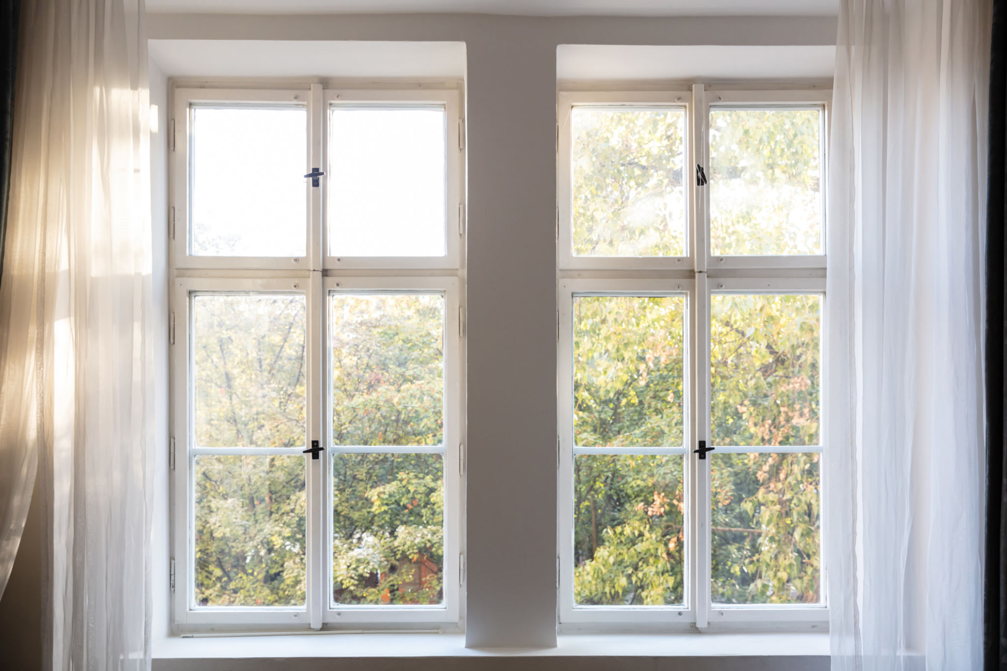 home window tint