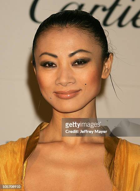 Bai Ling during 5th Annual Project A.L.S. Benefit Gala Honoring Ben Stiller - Arrivals at Westin Century Plaza Hotel in Century City, California,...