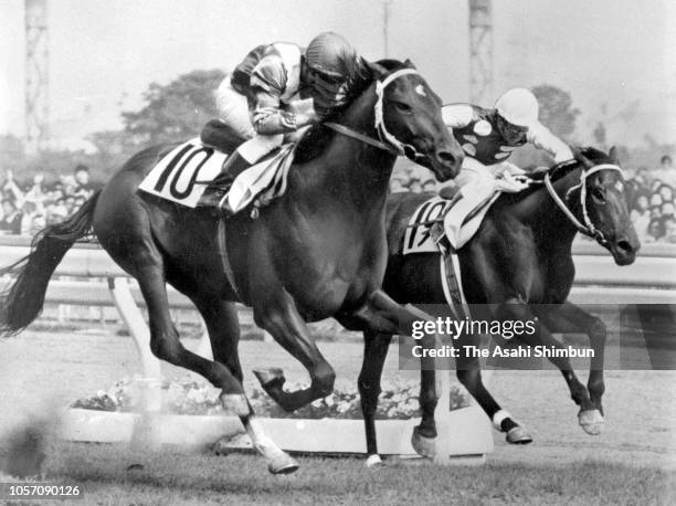 Jockey Yukio Okabe riding Symboli Rudolf crosses the finish line to win the 51st Tokyo Yushun at the Tokyo Racecourse on May 27, 1984 in Fuchu,...