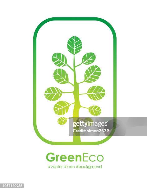 green ecotree flat design icon - right first time stock illustrations