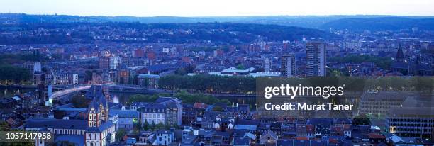 skyline view of liege - liege stock pictures, royalty-free photos & images