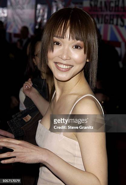 Fann Wong during "Shanghai Knights" Premiere - Hollywood at The El Capitan Theatre in Hollywood, California, United States.