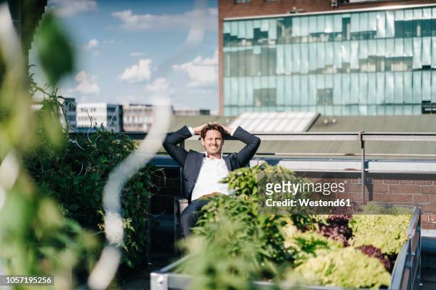 businessman relaxing in his urban rooftop garden - urban gardening stock-fotos und bilder