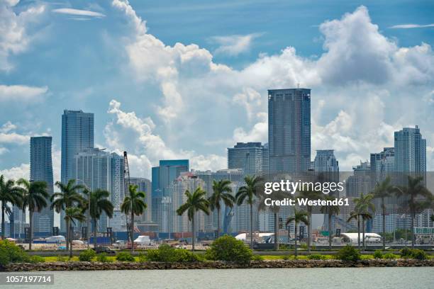 usa, florida, miami, downtown, skyline with high-rises and palm trees - miami skyline stock-fotos und bilder