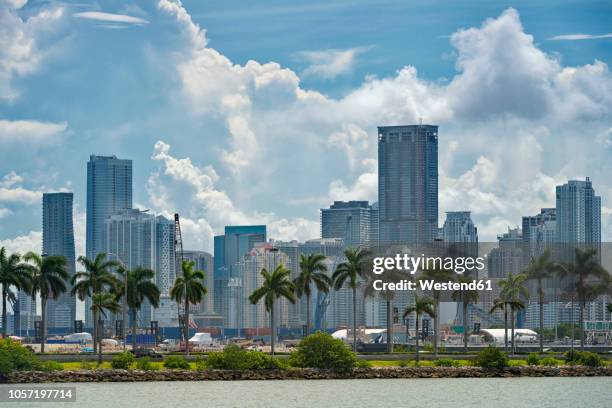 usa, florida, miami, downtown, skyline with high-rises and palm trees - miami stock-fotos und bilder