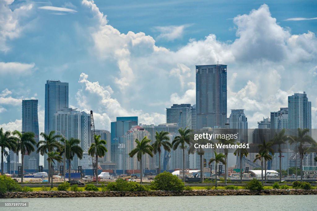 USA, Florida, Miami, Downtown, skyline with high-rises and palm trees