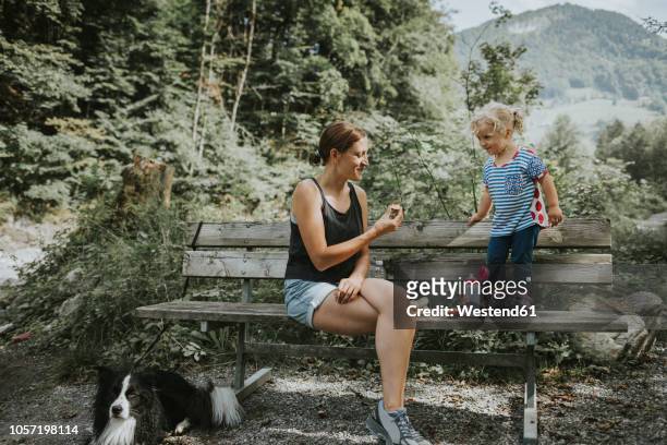 mother and toddler with dog on a bench in forest - mangiare natura foto e immagini stock