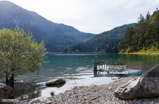 germany, bavaria, eibsee, surfboard at lakeshore - riva del lago foto e immagini stock