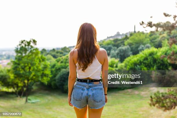 back view of redheaded woman standing on hill in a park looking at view - hot pants ストックフォトと画像