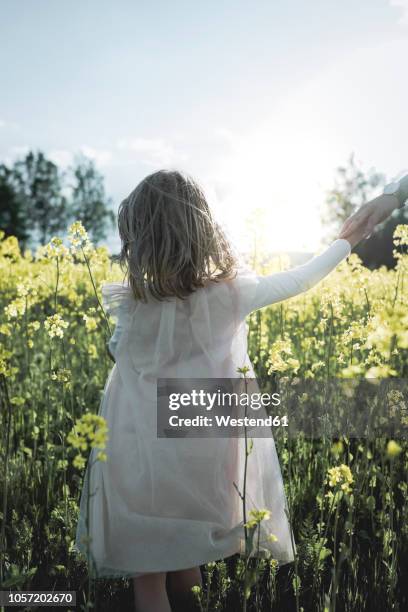 back view of little girl walking on mother's hand in rape field - girls hands behind back stock-fotos und bilder