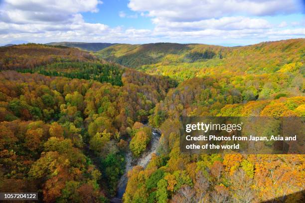 autumn colors of jogakura gorge, aomori prefecture, japan - aomori city stock pictures, royalty-free photos & images