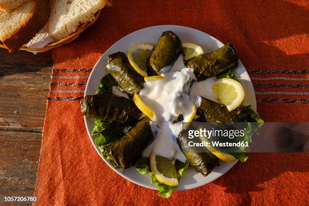 albania, japrak, stuffed vineleaves on plate - albanië stockfoto's en -beelden
