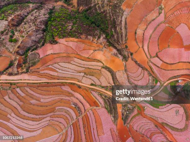 china, yunnan province, dongchuan, red land - yunnan province stock pictures, royalty-free photos & images