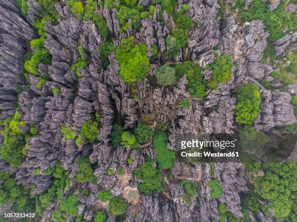 china, shilin, karst, stone forest seen from above - karst formation stockfoto's en -beelden