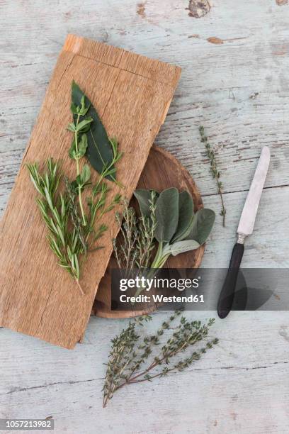 fresh provencal herbs, knife and wooden boards - lorbeer stock-fotos und bilder
