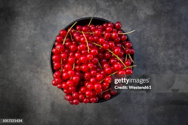 bowl of red currants - grosella fotografías e imágenes de stock