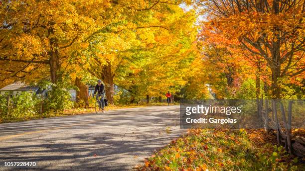 fietsers in het prachtige landschap van de herfst - eastern townships stockfoto's en -beelden