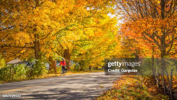 cyclist in the beautiful autumn scenery - eastern townships quebec stock pictures, royalty-free photos & images