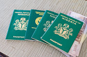 Nigerian Passport with Nigerian Naira For Travel and Vacation