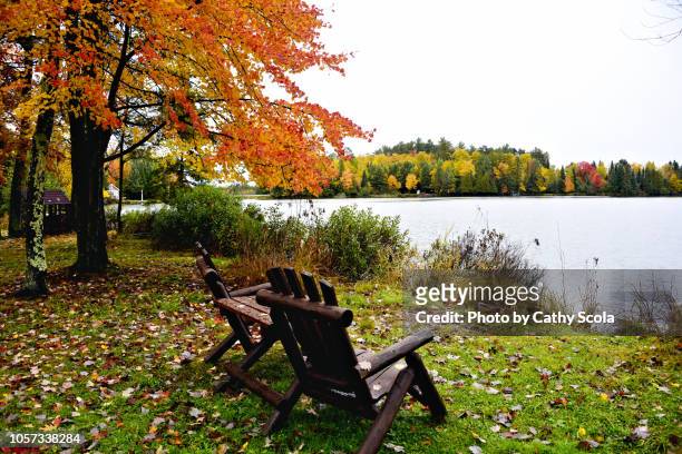 wooden chairs by lake - adirondack chair closeup stock pictures, royalty-free photos & images