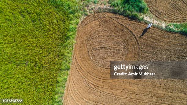 aerial view of ploughed fields in red soil - landwirtschaftsgeräte ansicht von oben stock-fotos und bilder