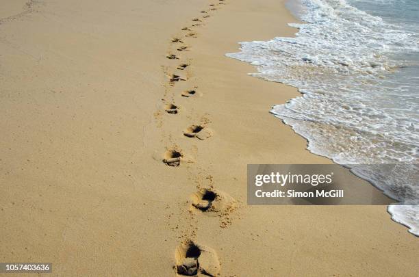 shoeprints on the beach near the shoreline - schuhabdruck stock-fotos und bilder