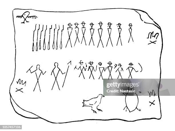 birch bark with indian pictographs - algonquin provincial park stock illustrations