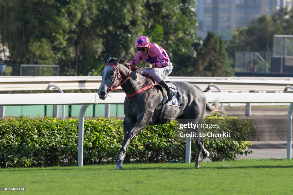 Hot King Prawn wins The Premier Bowl (G2 1200m)