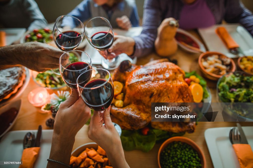 Cheers to this great Thanksgiving dinner!