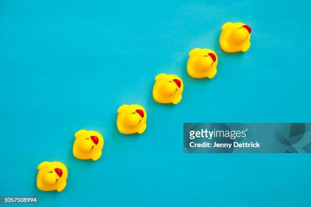 rubber ducks in a line - duck bird stock pictures, royalty-free photos & images