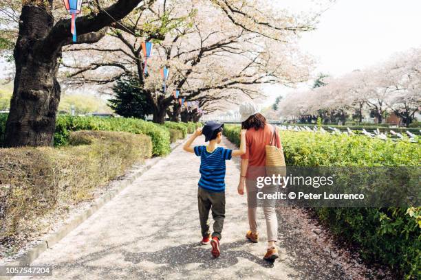 walking along cherry blossom path - childrens-day-japan stock pictures, royalty-free photos & images