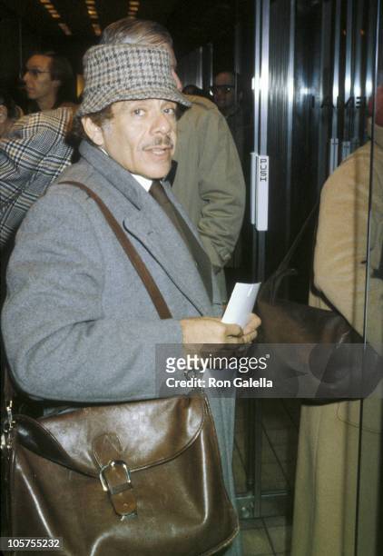 Jerry Stiller during Jerry Stiller Sighting in New York City - January 1, 1980 in New York City, New York, United States.