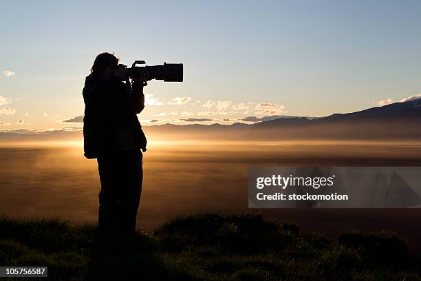 nature photographer in action - telephoto lens stock pictures, royalty-free photos & images