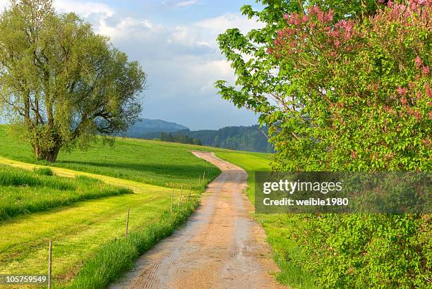 387 Bumpy Path Stock Photos, High-Res Pictures, and Images - Getty Images