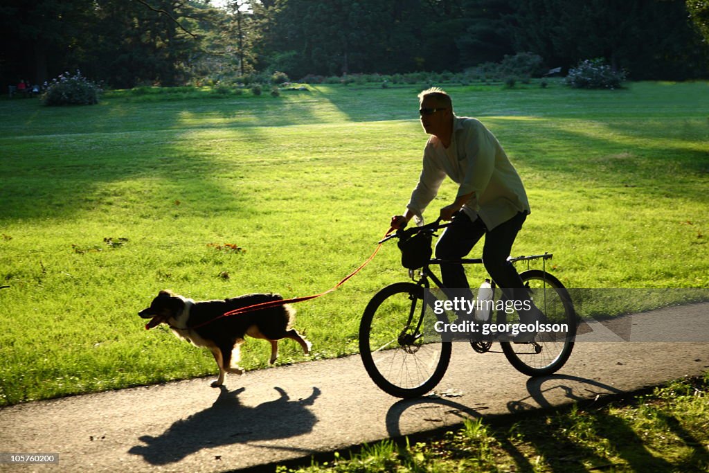 Silhouetted Cyclist And Dog
