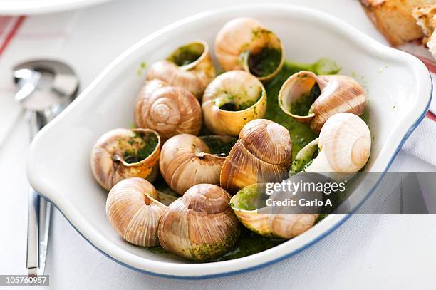 snail butter - snail stockfoto's en -beelden