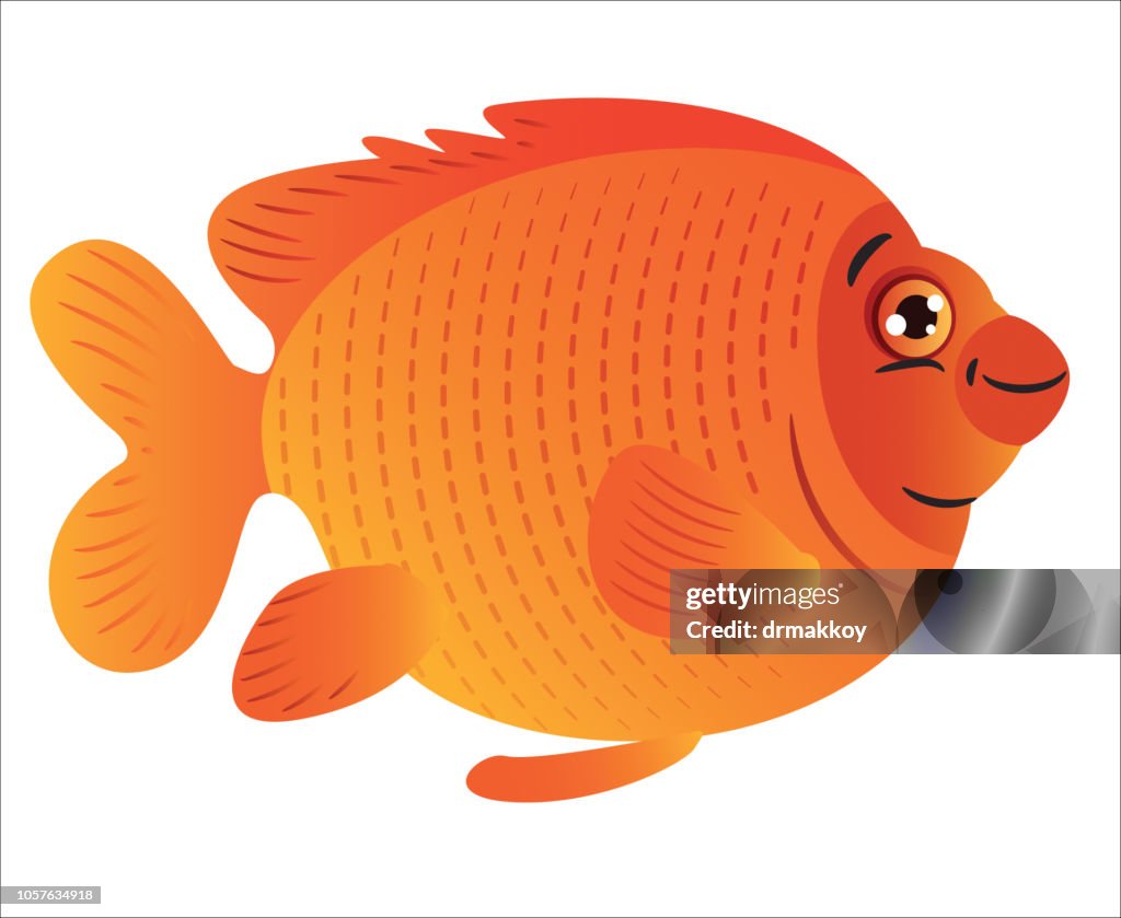 Garibaldi Fish in California