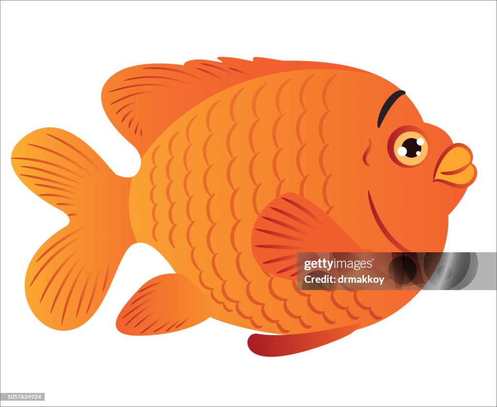 Garibaldi Fish