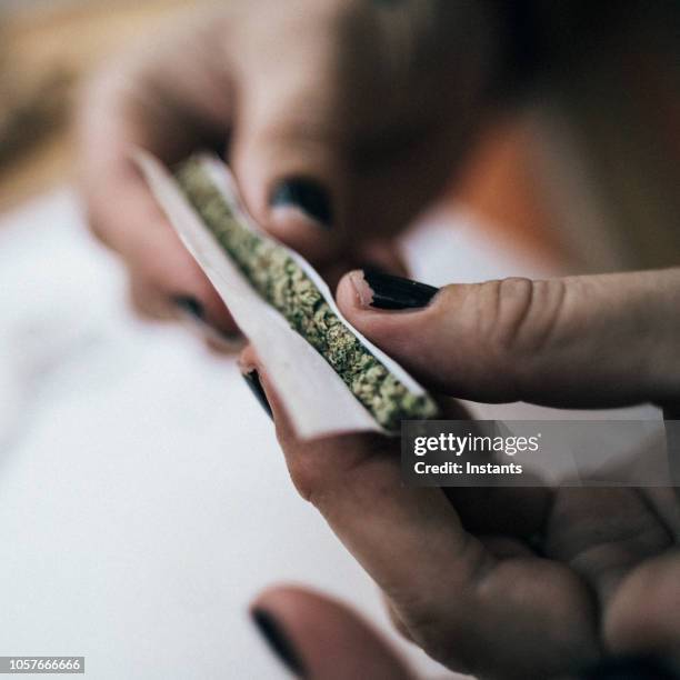 hands of a 40 year old woman rolling a joint, as prescribed medecine for her chronic illness. - marijuana joint imagens e fotografias de stock