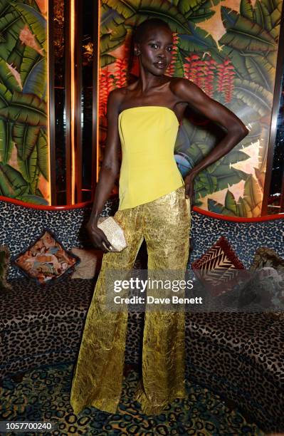 Ownalek Alek Wek Photos Photos and Premium High Res Pictures - Getty Images