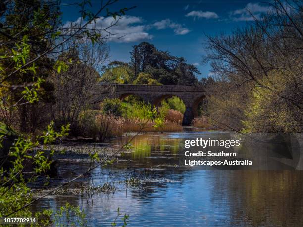 a view of the coal river in the spring, richmond, tasmania, australia. - richmond tasmania stock pictures, royalty-free photos & images