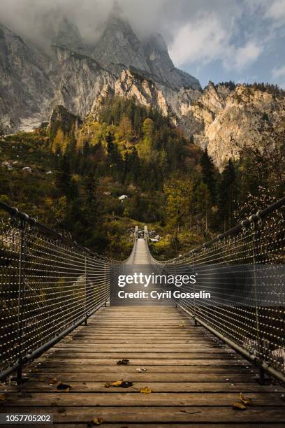 suspension bridge and berchtesgaden alps - berchtesgaden stock pictures, royalty-free photos & images