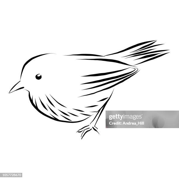 wren, sparrow vector illustration in pen and ink isolated on white - songbird stock illustrations