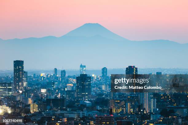 mount fuji and tokyo downtown at sunset. japan - japanese culture stockfoto's en -beelden