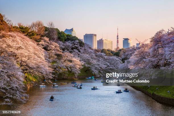 canal during cherry blossom with skyline, tokyo - chiyoda stockfoto's en -beelden