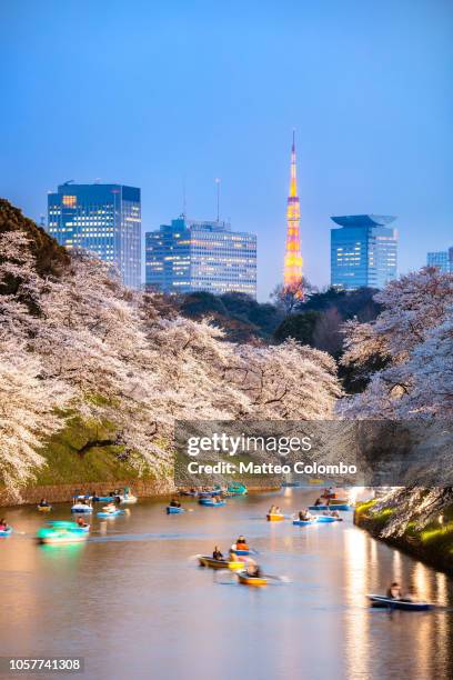 chidorgafuchi at night with cherry blossom, tokyo - cherry blossoms bloom in tokyo stock pictures, royalty-free photos & images