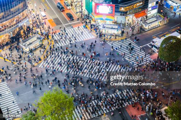 famous shibuya pedestrian crossing, tokyo, japan - oversteekplaats stockfoto's en -beelden