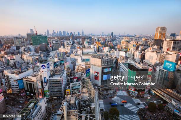 elevated view of city. shibuya, tokyo, japan - bezirk shibuya stock-fotos und bilder